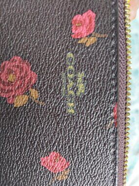 Coach, coin, wallet
